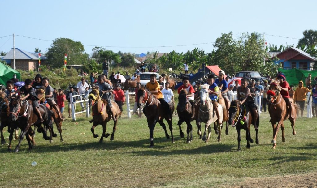 balapan kuda sidomulyo merauke papua